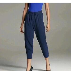 [M]Babaton Aritzia  Blue Waist banded Jogger style Pants